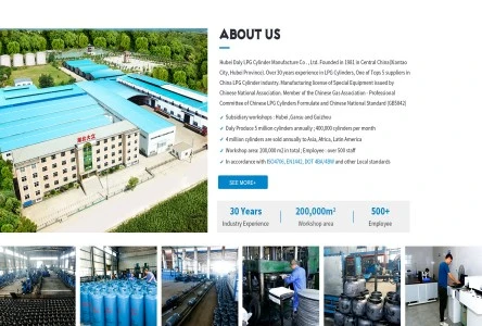 Yfir 30 ára reynsla af LPG strokkum